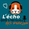 undefined L'écho des museaux