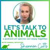 undefined Let's Talk to Animals