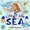 undefined 鈴木香里武 Life of the SEA