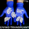 undefined Living Transplant: Patient Stories | Organ Donation | Medical Experts