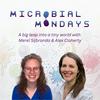 undefined Microbial Mondays
