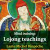 undefined Mind training: Lojong teachings with Lama Michel Rinpoche
