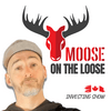 undefined Moose on The Loose
