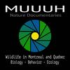 undefined MUUUH Nature Documentaries