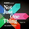 undefined Not Just One Thing - The Portfolio Career Playbook