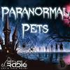 undefined Paranormal Pets - Ghostly Encounters with Past Pets - Pets & Animals on Pet Life Radio