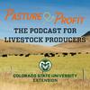 undefined Pasture to Profit Podcast