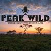undefined Peak Wild: Stories On Earth