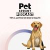 undefined Pet Sprint Podcast - Tips and Advice on Dog's Health