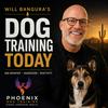 undefined Will Bangura's Dog Training Today