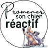 undefined Promener son chien réactif