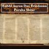 undefined Rabbi Aaron Dov Friedman Parsha Shiur