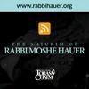 undefined Rabbi Moshe Hauer