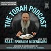 undefined The Torah Podcast