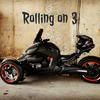 undefined Rolling on 3