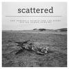 undefined Scattered