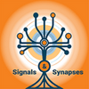 undefined Signals &Synapses