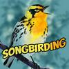 undefined Songbirding: A Birding-by-ear Podcast