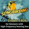 undefined Songbirding Under 5kHz