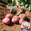 undefined SpudChat