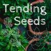 undefined Tending Seeds: Adventures in Gardening, Homesteading, and Herbalism