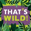 undefined That's WILD! A Little Rock Zoo Podcast