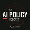 undefined The AI Policy Podcast