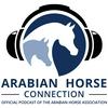 undefined The Arabian Horse Connection