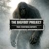 undefined THE BIGFOOT PROJECT