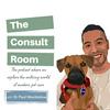 undefined The Consult Room
