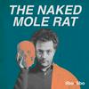 undefined The Naked Mole Rat