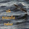 undefined The Naturalist Podcast