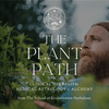 undefined The Plant Path: Herbalism, Medical Astrology & Spagyric Alchemy