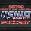 undefined The Retro Wrestling Re-View