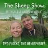 undefined The Sheep Show Podcast with Jill & Andrew Noble