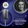undefined Tony et Léon - Conseils de vétérinaires - Chien et Chat