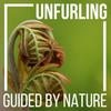 undefined Unfurling