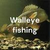 undefined Walleye fishing