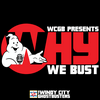 undefined Why We Bust