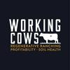 undefined Working Cows - Regenerative Ranching to Maximize Profitability and Soil Health