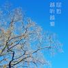 undefined 越听越爱-经典粤语歌重温