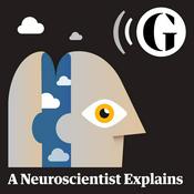 Podcast A Neuroscientist Explains