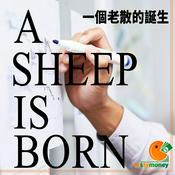 Podcast A Sheep is born