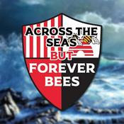 Podcast Across the Seas but Forever Bees - An American Brentford Podcast