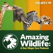 Podcast Amazing Wildlife: A San Diego Zoo Podcast