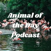 Podcast Animal of the Day Podcast