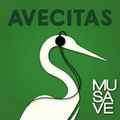 Podcast AVE-CITAS