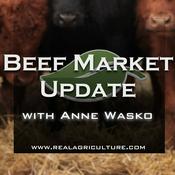 Podcast Beef Market Update – RealAgriculture