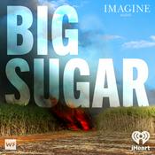 Podcast Imagine Audio: Big Sugar