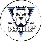 Podcast Bristol Pitbulls Official Podcast
